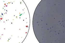 focus_zapper_mar2013_gif