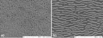 Microstructure of nickel base single crystal SMP14 superalloy, after heat treatment (a),  and after 400h of creep  at 1050°C/150