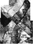 Dislocation structure inside the AISI316L alloy. The alloy was strained at 0.09. at T= 1000°C  and at 0.006 s-1 a strain rate