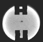 Back-light photograph of a 2 mm diameter pellet in flight at 9.6 Km/s
