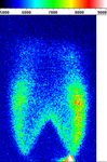 OH Planar Laser-Induced Fluorescence (PLIF) in a  Bunsen flame
