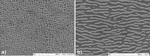 Microstrutture della superlega monocristallina a base nichel SMP14, dopo trattamento termico (a), e  dopo 400h di creep  a 1050°C/150 MPa