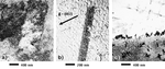 Micrografie al TEM di Nimonic 263 deformato a 700° C e 380 MPa; (a) bande di deformazione; (b) difetto d’impilamento in campo chiaro; (c) precipitazione a bordo grano