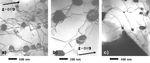 Micrografie al TEM di Nimonic 263 deformato a 900° C e 55 MPa: (a) e (b) particelle γ’ di diametro medio pari a ~250 nm e reticolo di dislocazioni con distanza tra i nodi pari a ~200 nm; (c) bordo grano bloccato da particella γ’ durante la migrazione