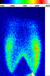 Fluorescenza planare (PLIF) del radicale OH in una fiamma di tipo Bunsen